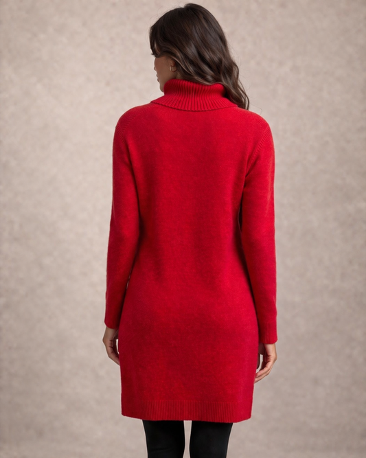 Bella Turtle Neck Dress With Pockets