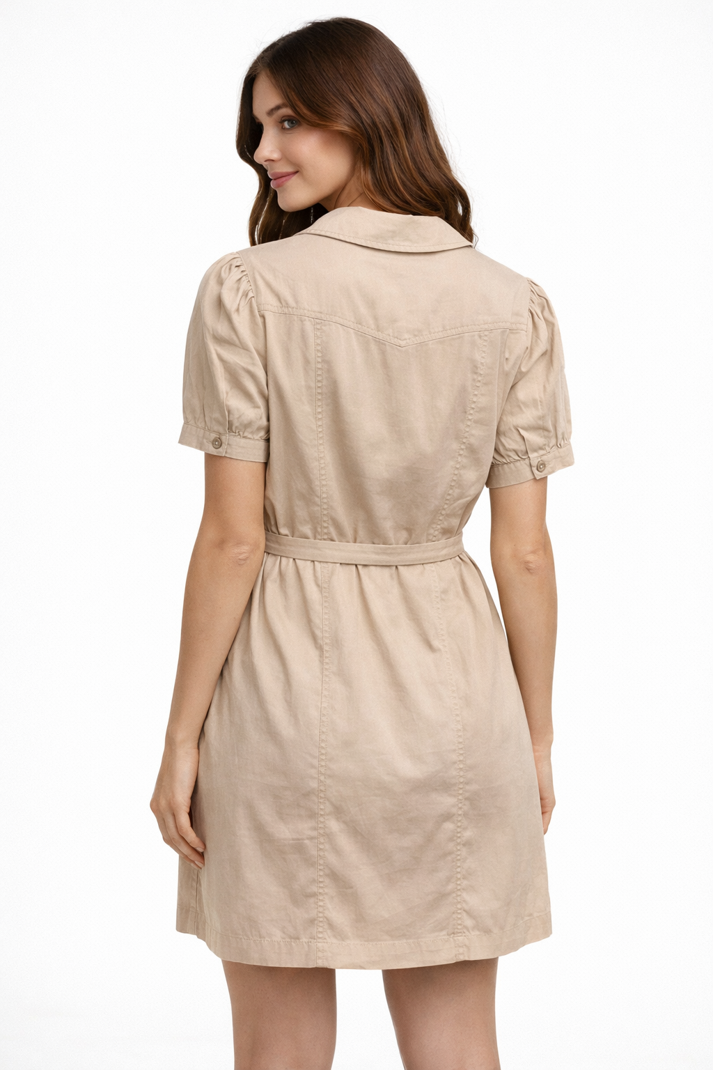 Bella Dahl Short sleeve Seamed Puritan Collar dress