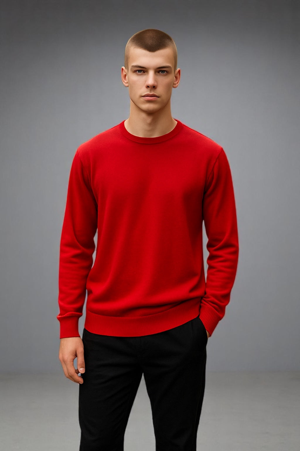 Sovrano crew neck pure merino Machine washable